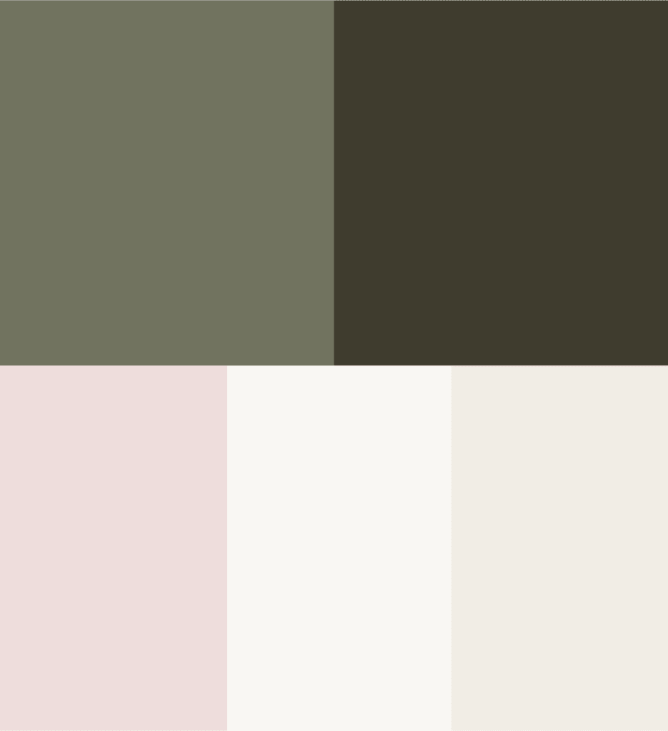 color palette for the veil