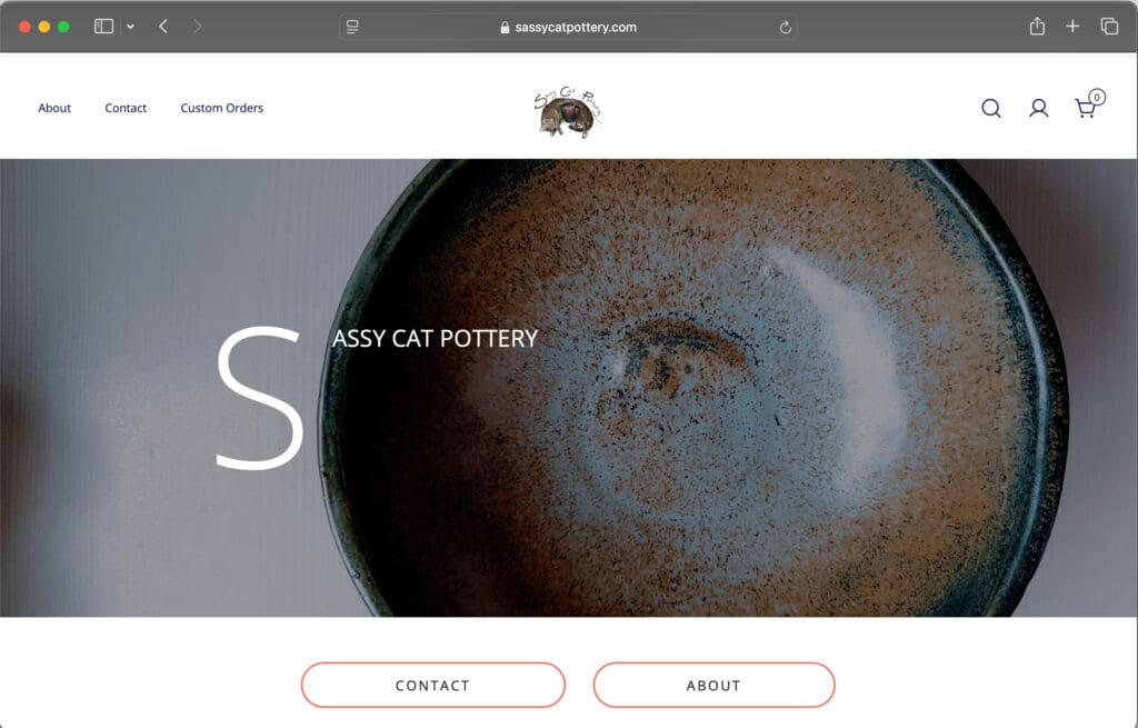 the sassy cat homepage